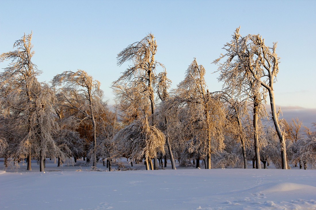 Winter in a park.Landscape photography